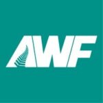 Leading IT Staffing Agencies in New Zealand