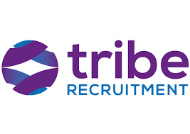 Leading IT Staffing Agencies in New Zealand 