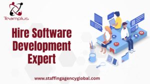 Hire Software Development Expert